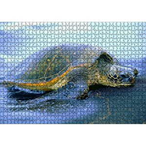 Kumsala Çıkan Caretta Caretta Puzzle Yapboz Mdf Ahşap 1000 Parça