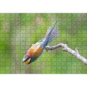 Daldan Ayrılmak Üzere Olan Rengarenk Kuş Puzzle Yapboz Mdf Ahşap 255 Parça
