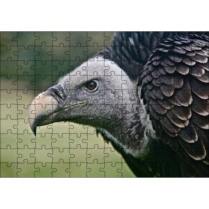 Gri Başlı Siyah Akbaba Yakın Çekim Puzzle Yapboz Mdf Ahşap 120 Parça