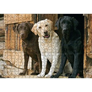 Kahve Krem Ve Siyah Labradorlar Puzzle Yapboz Mdf Ahşap 500 Parça