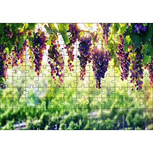 Asma Üzümü Kırmızı Üzüm Görseli Puzzle Yapboz Mdf Ahşap 120 Parça