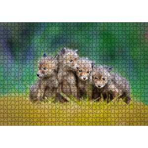 Çayırda Sevimli Tilki Yavruları Puzzle Yapboz Mdf Ahşap 1000 Parça