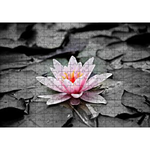 Siyah Beyaz Lotus Yaprakları Ve Pembe Nilüfer Çiçeği Puzzle Yapboz Mdf Ahşap 255 Parça
