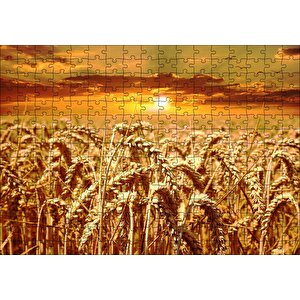Eğilmiş Buğday Başakları Ve Gün Batımı Puzzle Yapboz Mdf Ahşap 255 Parça