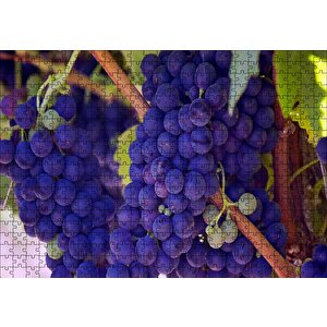 Dalında Şaraplık Kara Üzümler Puzzle Yapboz Mdf Ahşap 500 Parça
