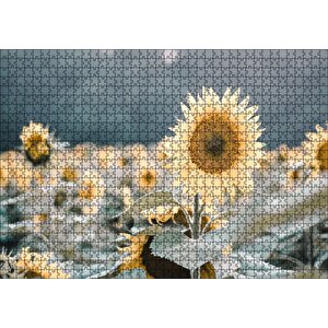 Günebakan Çiçeği Flu Arkaplan Puzzle Yapboz Mdf Ahşap 1000 Parça