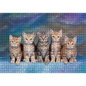 Dört Yavru Sarmanın Arasındaki Tekir Puzzle Yapboz Mdf Ahşap 1000 Parça