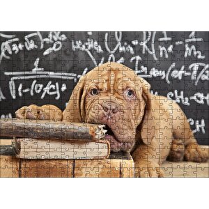 Kitapları Dişleyen Kahverengi Sharpy Yavrusu Puzzle Yapboz Mdf Ahşap 255 Parça