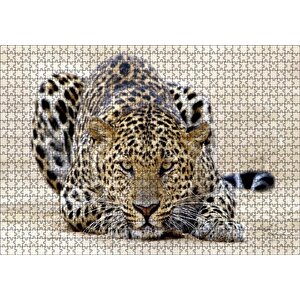 Kumların Üzerinde Pusudaki Leopar Puzzle Yapboz Mdf Ahşap 1000 Parça