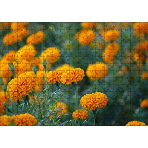 Sarı Karanfiller Görseli Puzzle Yapboz Mdf Ahşap 255 Parça