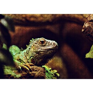 İguana Yakın Plan Flu Arka Plan Puzzle Yapboz Mdf Ahşap 500 Parça