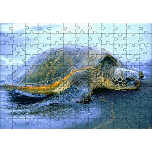 Kumsala Çıkan Caretta Caretta Puzzle Yapboz Mdf Ahşap 120 Parça