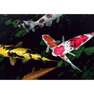 Koi Balıkları Yukarıdan Görünüm Puzzle Yapboz Mdf Ahşap 500 Parça