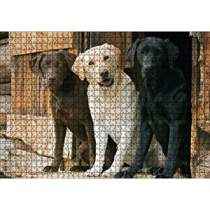 Kahve Krem Ve Siyah Labradorlar Puzzle Yapboz Mdf Ahşap 1000 Parça
