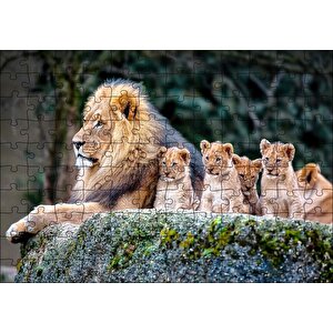 Kayanın Üzerinde Erkek Aslan Ve Sevimli Yavruları Puzzle Yapboz Mdf Ahşap 120 Parça