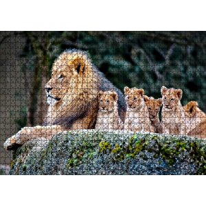 Kayanın Üzerinde Erkek Aslan Ve Sevimli Yavruları Puzzle Yapboz Mdf Ahşap 1000 Parça