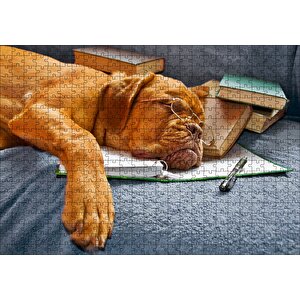 Kitap Defter Kalem Ve Gözlüklü Kahverengi Buldog Puzzle Yapboz Mdf Ahşap 500 Parça