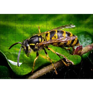 Yapraktan Su İçen Eşek Arısı Makro Çekim Puzzle Yapboz Mdf Ahşap 120 Parça