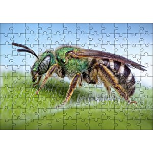 Yaprağın Üzerindeki Yaban Arısı Makro Çekim Puzzle Yapboz Mdf Ahşap 120 Parça