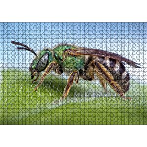 Yaprağın Üzerindeki Yaban Arısı Makro Çekim Puzzle Yapboz Mdf Ahşap 1000 Parça