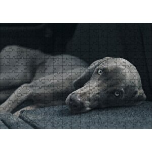 Siyah Doghound Siyah Zemin Karanlık Arka Plan Puzzle Yapboz Mdf Ahşap 255 Parça