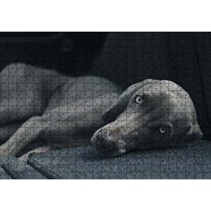 Siyah Doghound Siyah Zemin Karanlık Arka Plan Puzzle Yapboz Mdf Ahşap 500 Parça