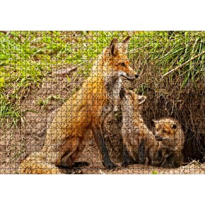 Yuvanın Girişinde Anne Tilki Ve Yavruları Puzzle Yapboz Mdf Ahşap 1000 Parça