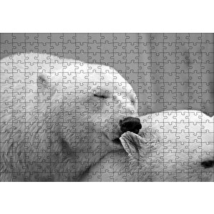 Uyuklayan Kutup Ayısı Puzzle Yapboz Mdf Ahşap 255 Parça