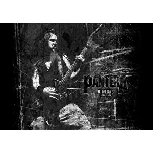 Pantera Dimebag Darrell Gitar Çalıyor Puzzle Yapboz Mdf Ahşap 500 Parça