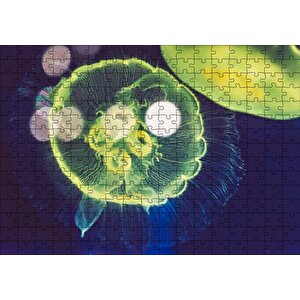 Muhteşem Güzellikte Mavi Yeşil Denizanası Puzzle Yapboz Mdf Ahşap 255 Parça