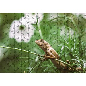 Yeşil Dallar Arasındaki İguana Flu Arka Plan Puzzle Yapboz Mdf Ahşap 120 Parça