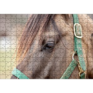 Yeşil Koşumlu Kahverengi At Yakın Çekim Puzzle Yapboz Mdf Ahşap 255 Parça