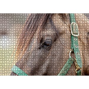 Yeşil Koşumlu Kahverengi At Yakın Çekim Puzzle Yapboz Mdf Ahşap 1000 Parça