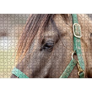 Yeşil Koşumlu Kahverengi At Yakın Çekim Puzzle Yapboz Mdf Ahşap 500 Parça
