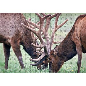 Cakapuzzle Yeşil Çayırda Otlayan Boynuzlu Geyikler Puzzle Yapboz Mdf Ahşap