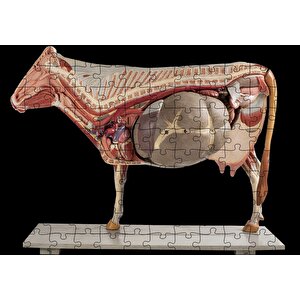 İneğin İç Organlarının Görseli Puzzle Yapboz Mdf Ahşap 120 Parça