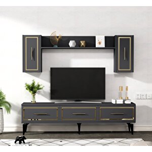 Vanessa Tv Üni̇tesi̇ Takimi Antrasi̇t-altin