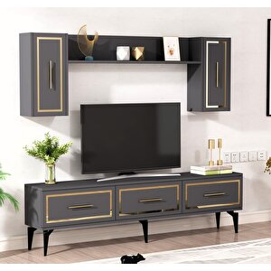 Vanessa Tv Üni̇tesi̇ Takimi Antrasi̇t-altin