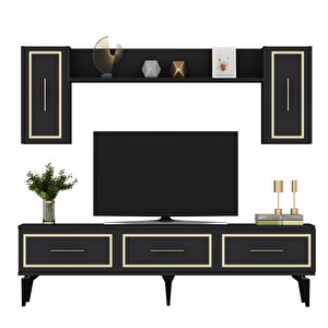 Vanessa Tv Üni̇tesi̇ Takimi Antrasi̇t-altin