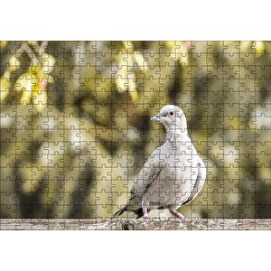 Kütük Üzerinde Gri Kumru Flu Arka Plan Puzzle Yapboz Mdf Ahşap 255 Parça