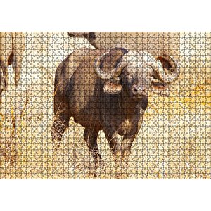 Afrika Bozkırında Bufalo Ve Kuru Otlar Puzzle Yapboz Mdf Ahşap 1000 Parça