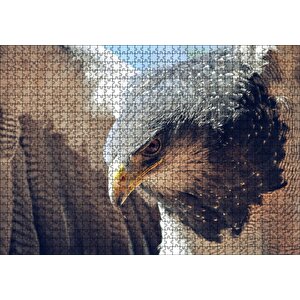 Süzülen Kartal Yakın Plan Puzzle Yapboz Mdf Ahşap 1000 Parça