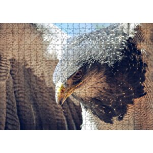Süzülen Kartal Yakın Plan Puzzle Yapboz Mdf Ahşap 500 Parça
