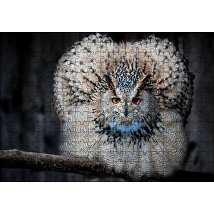 Daldaki Kartal Baykuşu Ve Muhteşem Tüyleri Puzzle Yapboz Mdf Ahşap 255 Parça