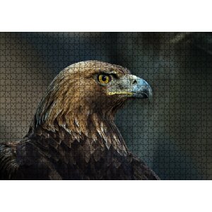 Kahverengi Kartal Mavi Gagalı Puzzle Yapboz Mdf Ahşap 1000 Parça