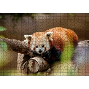 Dalda Dinlenen Kızıl Panda Puzzle Yapboz Mdf Ahşap 500 Parça