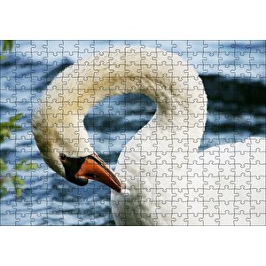 Zarif Beyaz Kuğu Yakın Plan Puzzle Yapboz Mdf Ahşap 255 Parça