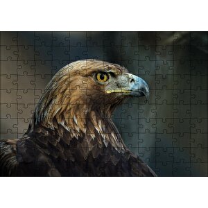 Kahverengi Kartal Mavi Gagalı Puzzle Yapboz Mdf Ahşap 120 Parça