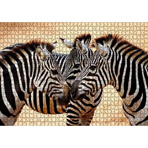 Savanada Üç Kafadar Zebra Yakın Plan Puzzle Yapboz Mdf Ahşap 1000 Parça