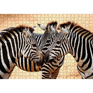 Savanada Üç Kafadar Zebra Yakın Plan Puzzle Yapboz Mdf Ahşap 500 Parça